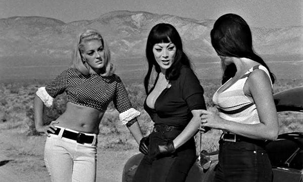 The best sale mule solarmovie